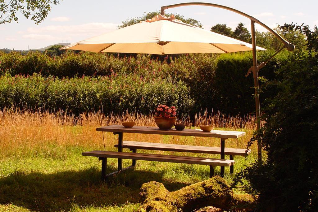 Kennels Cottage Stirling Bagian luar foto